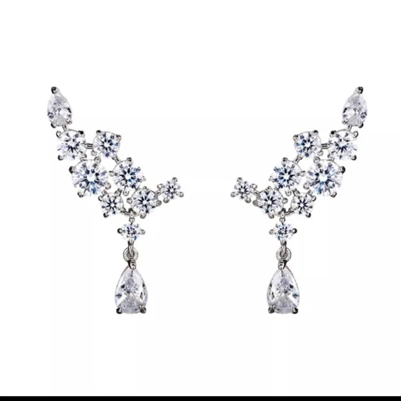 Luxury Climbing Earrings - Picture 1 of 5